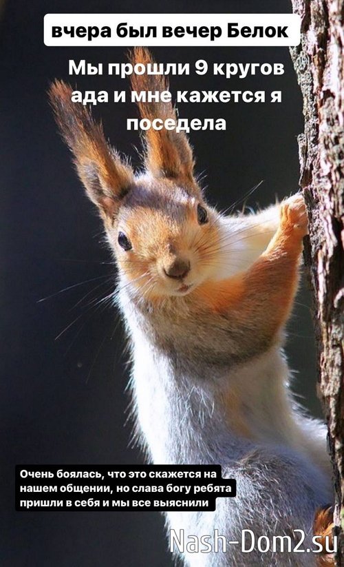 Жуткий скандал друзей помог супругам Ромашовым сблизиться Жуткий скандал друзей помог супругам Ромашовым сблизиться