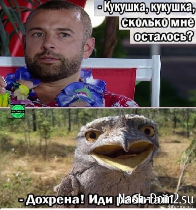 ������� ���-2 (17.06.2023)