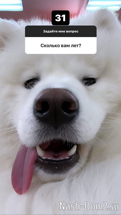 ���� ��������: ������� ������ ���� �������