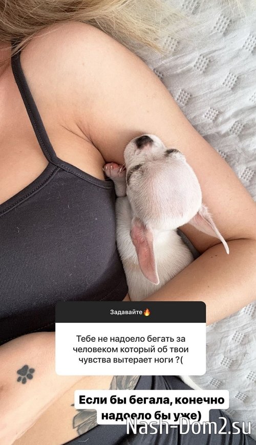 ������� ������: � ������ ���� ˸��