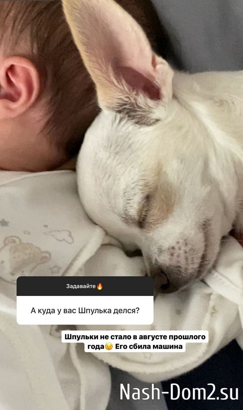 ������� ������: � ������ ���� ˸��