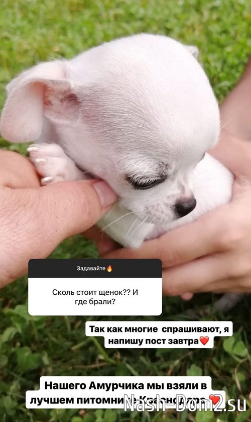 ������� ������: � ������ ���� ˸��