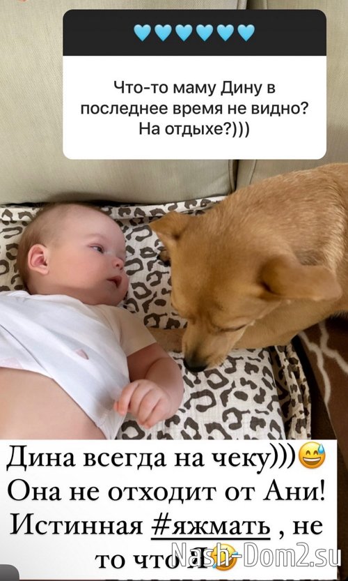 ����� ������: ���� ������ ������!