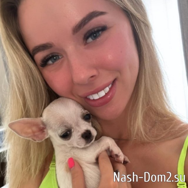 ������� ������: ���������, ����� �������� ��������...