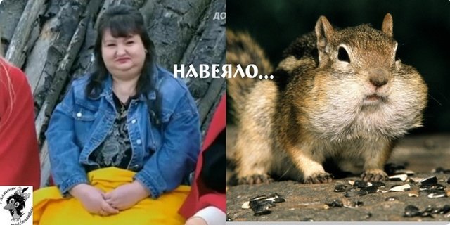 ����� �� �������� (22.06.2023)