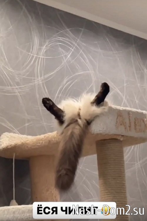 ����� ��������: �� ����� �� ����� � ���� ������