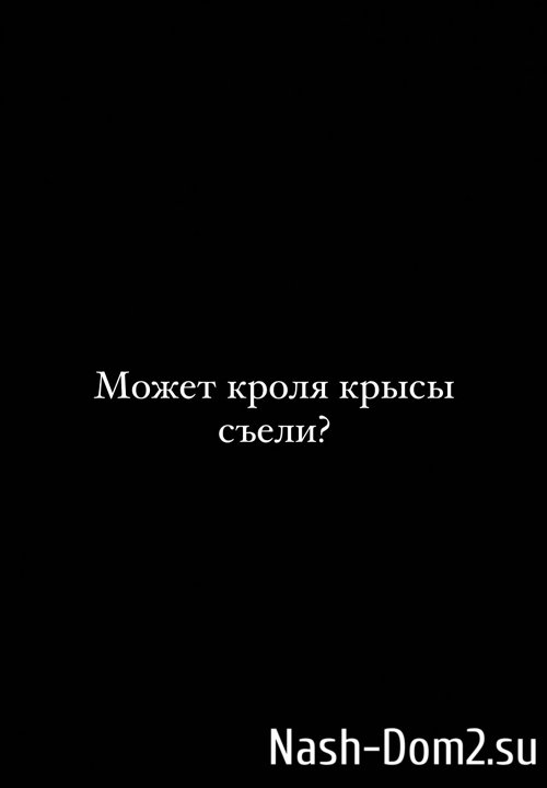 ������ ���������: ������ ��� ���� �����