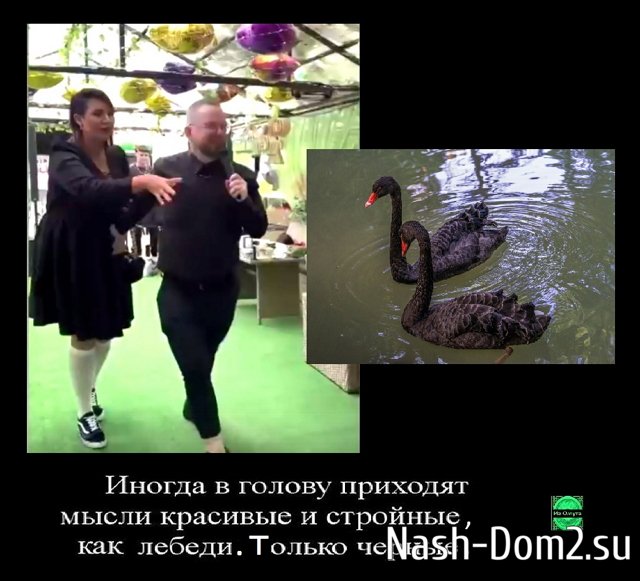 ������� ���-2 (29.06.2023)