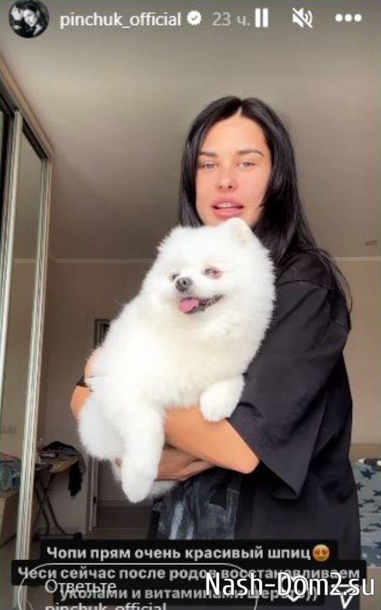 ����� ������ ������������ ������� ������� ������ � ������� ���� �����