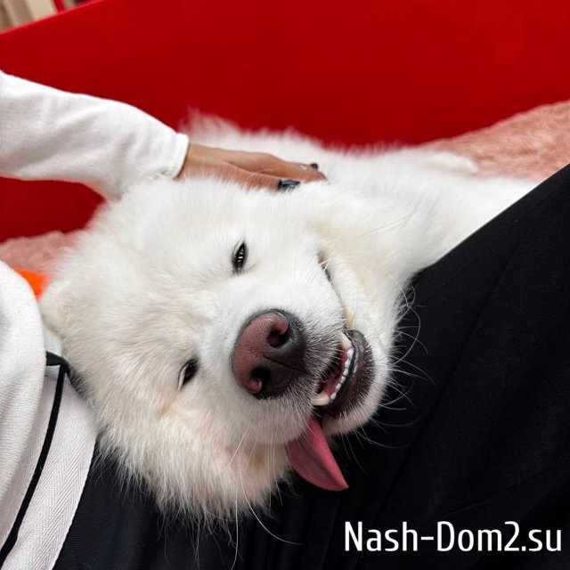 �������� ����������: ���� ����� ��� � �����!