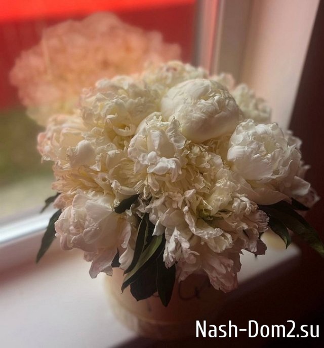 ��������� ������: �� ��� ����� ����� ������