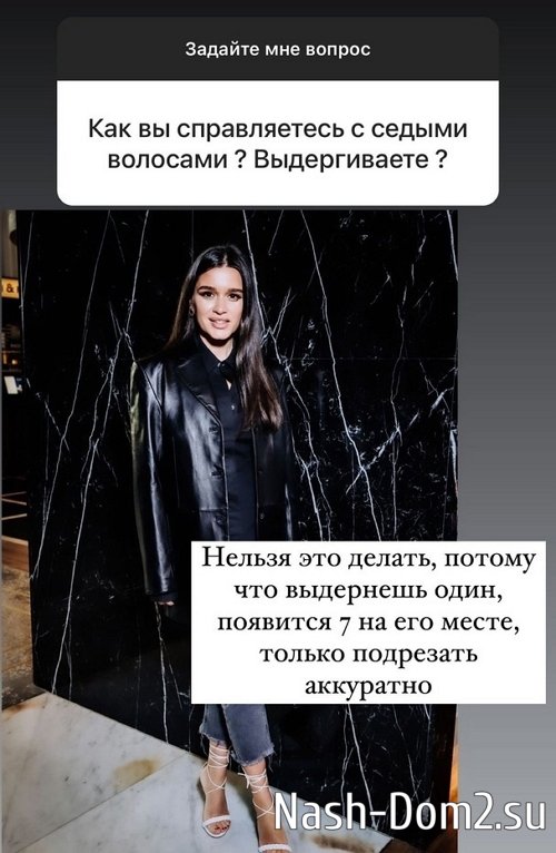 ������ ��������: ���� ����� ���� �� ������� � �����