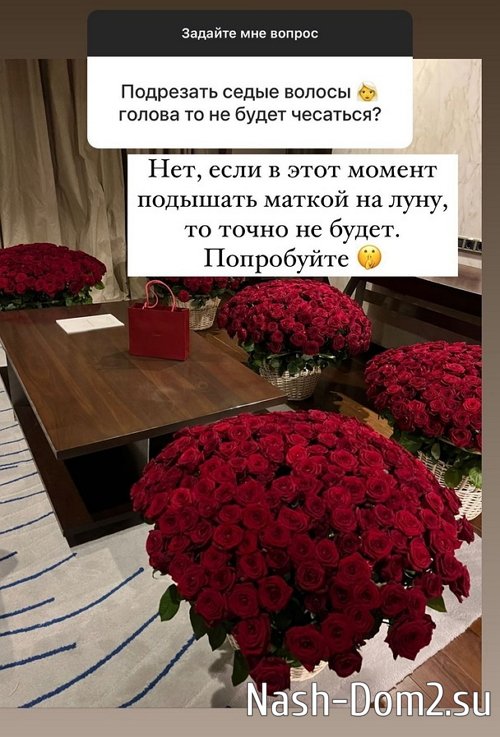 ������ ��������: ���� ����� ���� �� ������� � �����