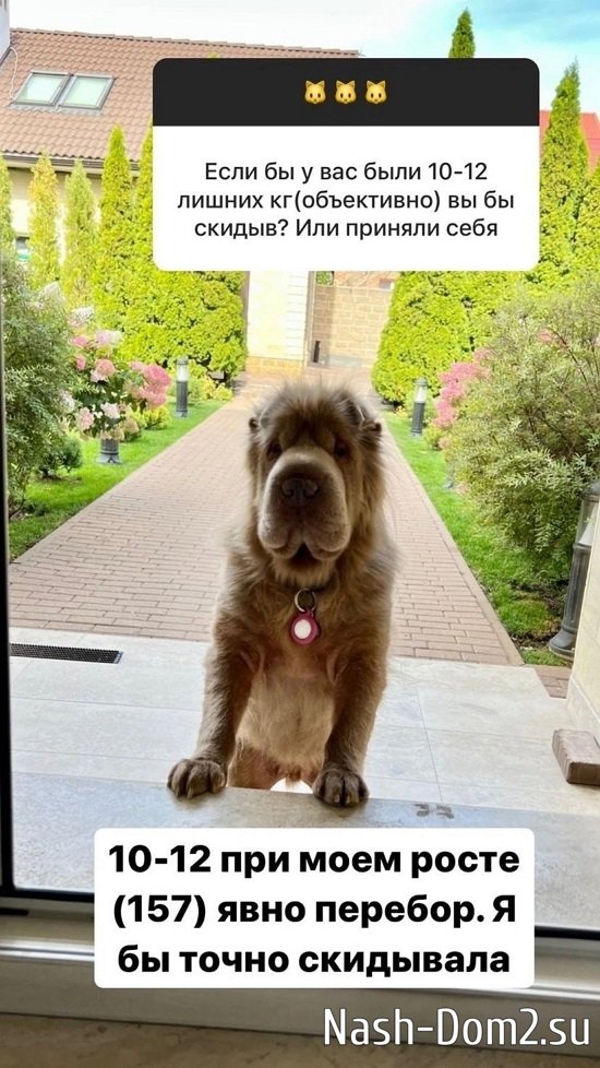 ����� ������: � �� ����� ���������!