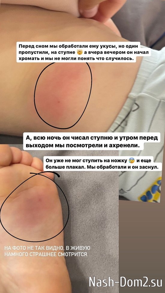 ����� ��������: ������ ��������� ��������