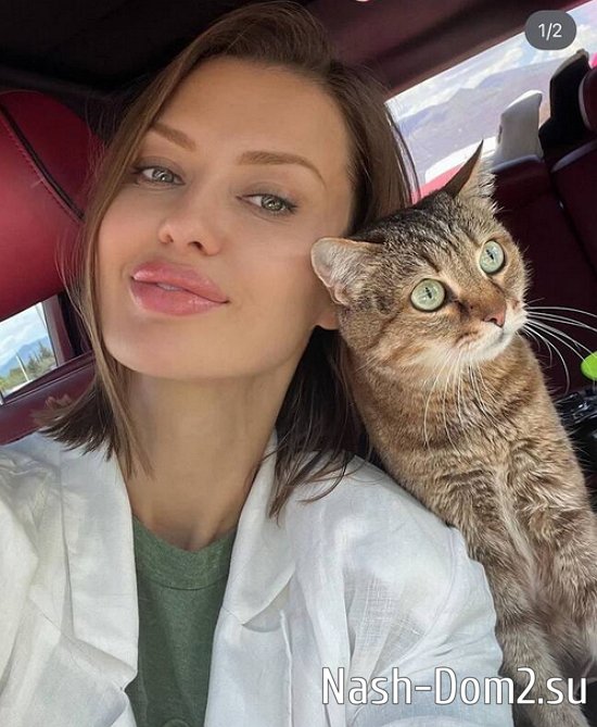 ���� ����������, ��� ������������ ��������� �������� ����� � �� ����������