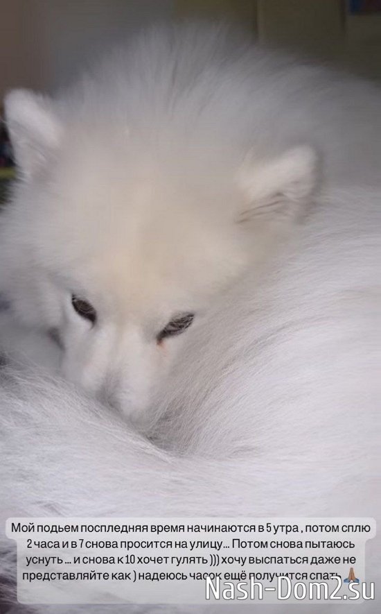 �������� ����������: ����� ��������� �������