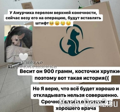 ������� ������: � �������� ������� ������� ����������