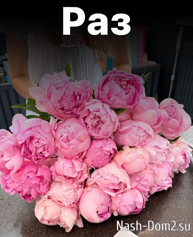 ����� �������: ������� ��������� ������������ �������