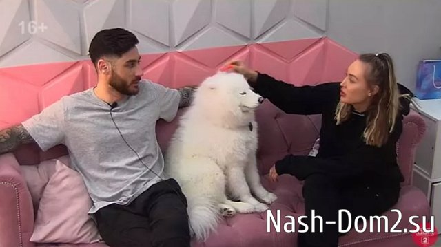 ����� �������, ��� ���� �����, ��������� � ������� ��������� �� ������