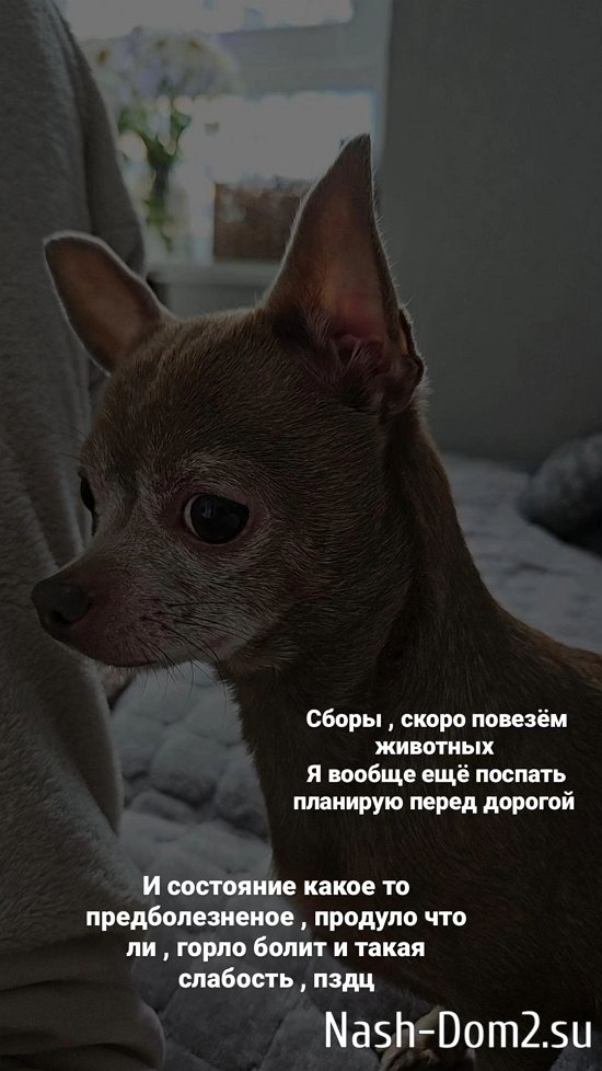 ����� �����: ���� ������ ���� � ����������!