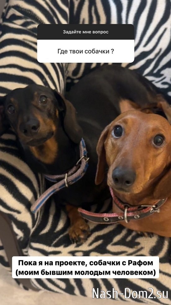 ��������� ��������: ���� ���� ����������