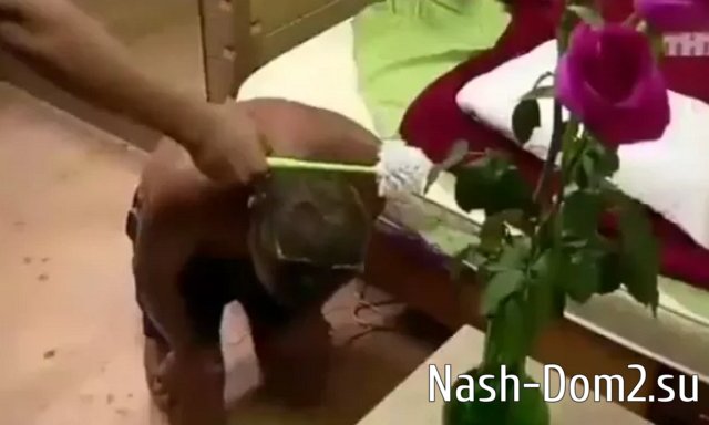 ������ �������, ��� �������� ����� ������� ��������