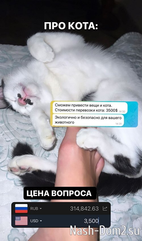 ������� �������: ������ ��������� �� ���� ����