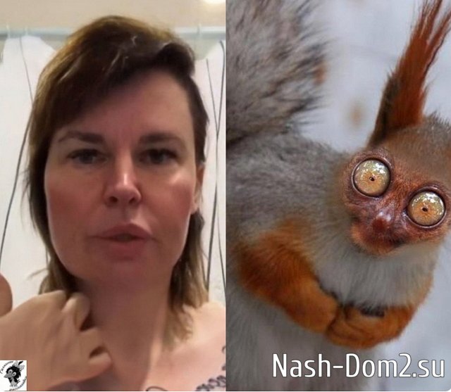 ������ � ��������� ��������� �������� (30.07.2023)