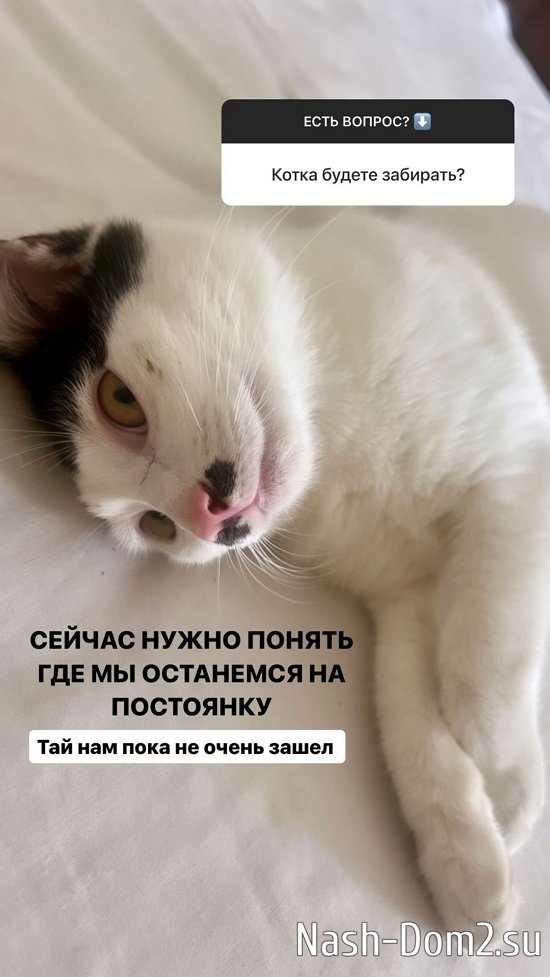 ��������� �������: ���� �� ����� ���������!