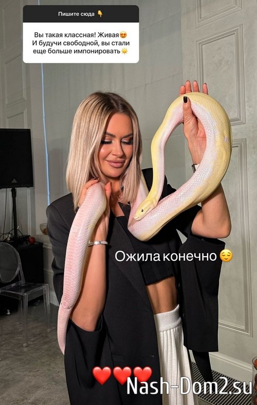 ������ �����������: ������� ���� �������...