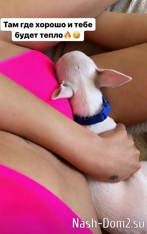 ������� ������: � ���� ���� �����!