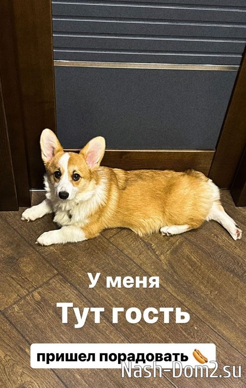 ����� �������: ������� ������