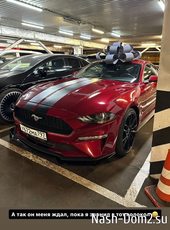 ������ ������: 29 ��� ���������� ���������