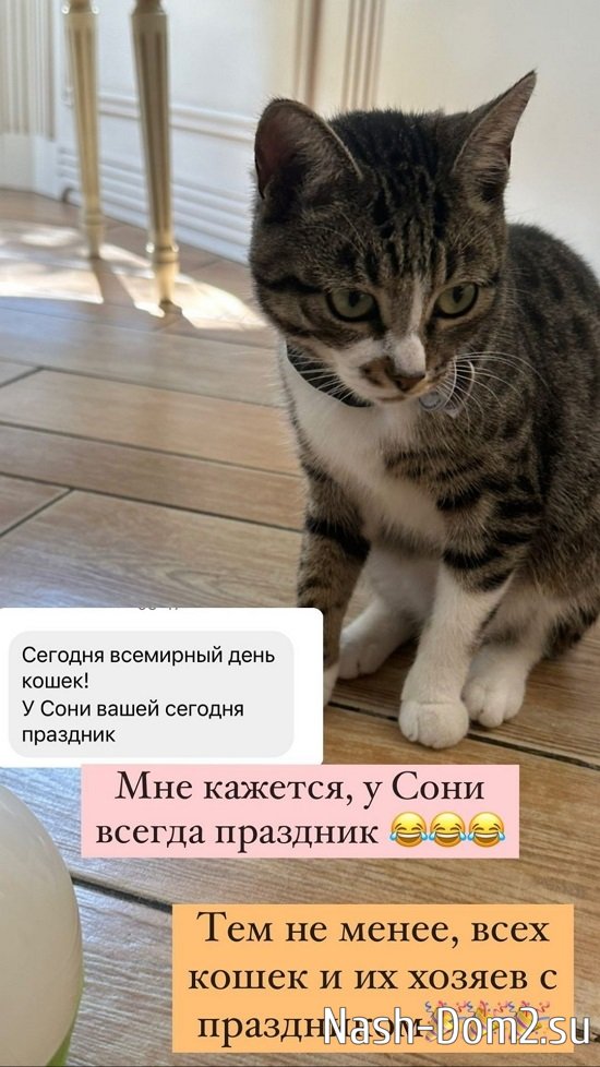 ����� ������: ����� ������, ��� �����!