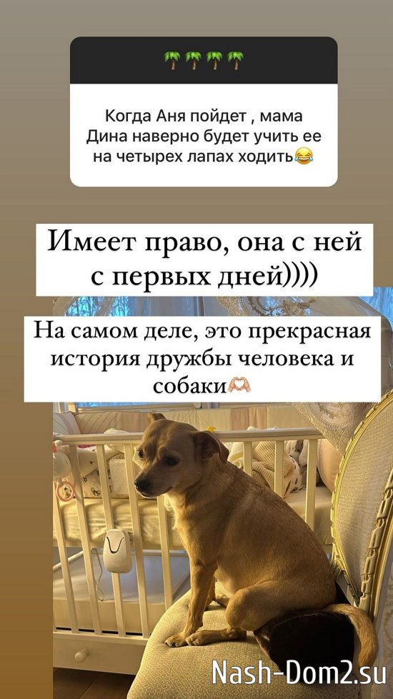 ����� ������: ����� ������, ��� �����!