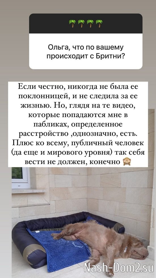 ����� ������: ����� ������, ��� �����!