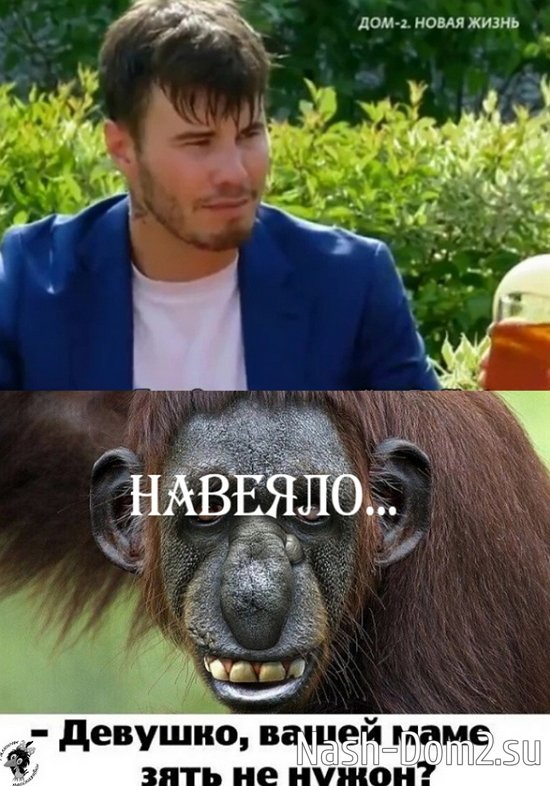 ����� �� �������� (10.08.2023)