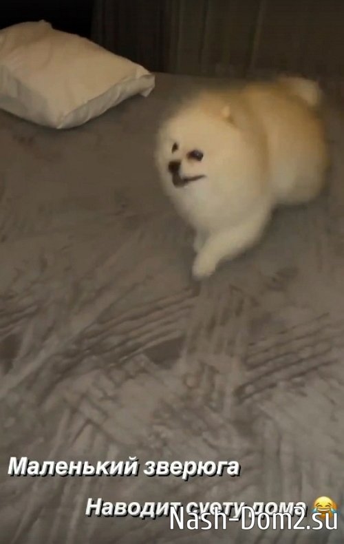 ������� �����: �������, ����� ���� ���������� � ������