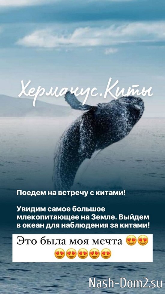 ������ ��������: ������ �� ������� � ������!