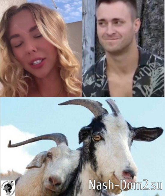 ����� �� �������� (17.08.2023)