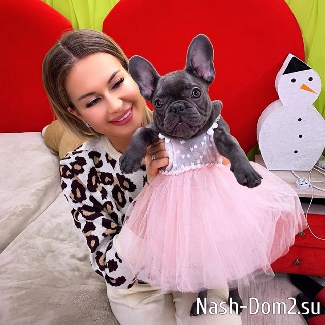 Марину Африкантову осудили за праздник, который она устроила для собаки Марину Африкантову осудили за праздник, который она устроила для собаки