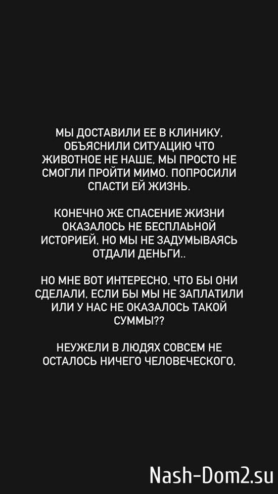 ������� �������: � ��� ����� ����� ������ �����?