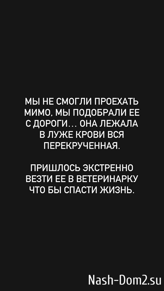 ������� �������: � ��� ����� ����� ������ �����?