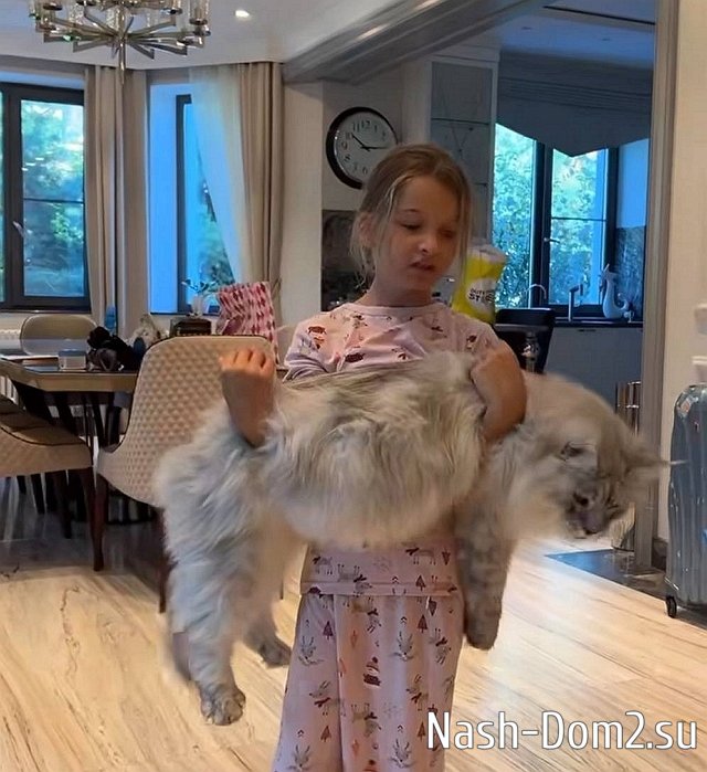 ���� ����� ���������� ����-2 (31.08.2023)