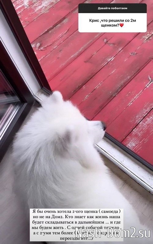 �������� ����������: �������� �������� ���