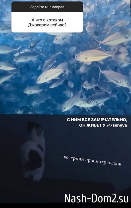 ��������� �������: �� ����� ���� ���� ��������� �� ������