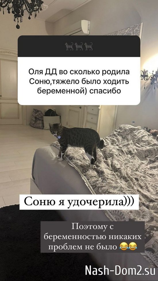 ����� ������: ��� ��� ������ � ����!