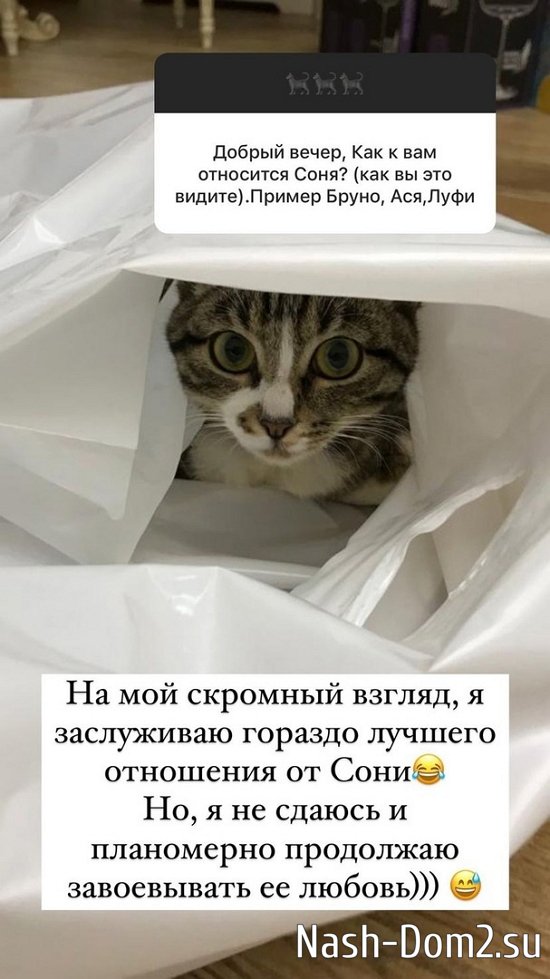 ����� ������: ��� ��� ������ � ����!