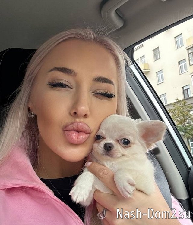 ���� �� ������ ���������� (24.09.2023)